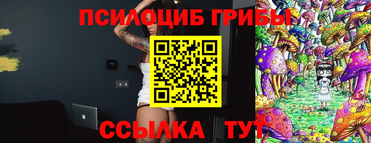 закладки  Вход с VPN  Саранск  Галлюциногенные грибы ЛСД 